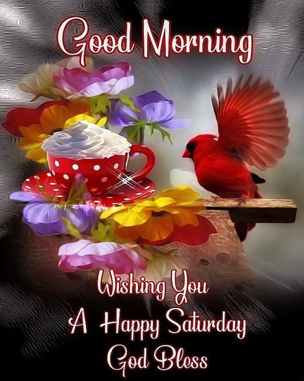 10 Best Good Morning Saturday Wishes Greetings Hd Wallpaper