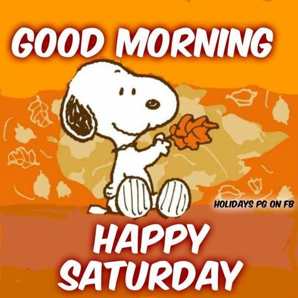 10 Best Good Morning Saturday Wishes / Greetings
