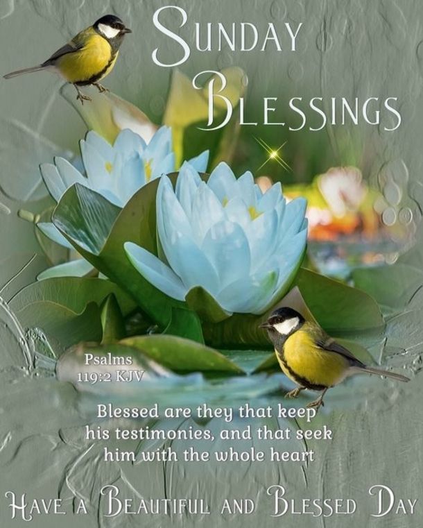 10 Sunday Blessing Images And Quotes