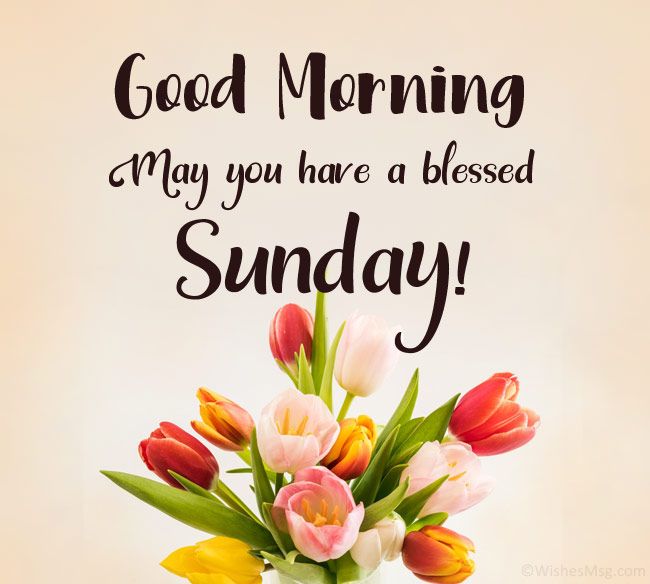 100+ Happy Sunday Wishes, Messages And Quotes | Wishesmsg