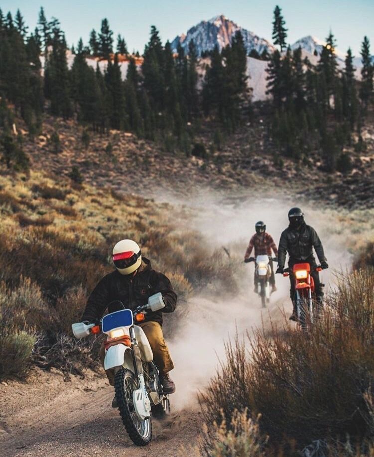 11 Essential Tips for the Newbie Dirt Bike Rider
