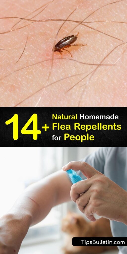 14 Natural Homemade Flea Repellents For People Images