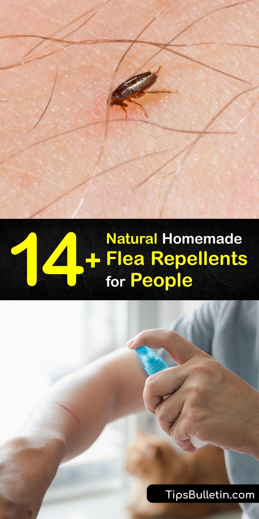 14+ Natural Homemade Flea Repellents for People HD Wallpaper