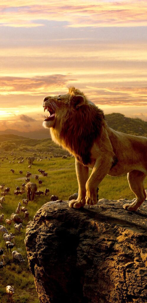 1440X2960 The Lion King, King Of Jungle, Movie 2019, Simba Images