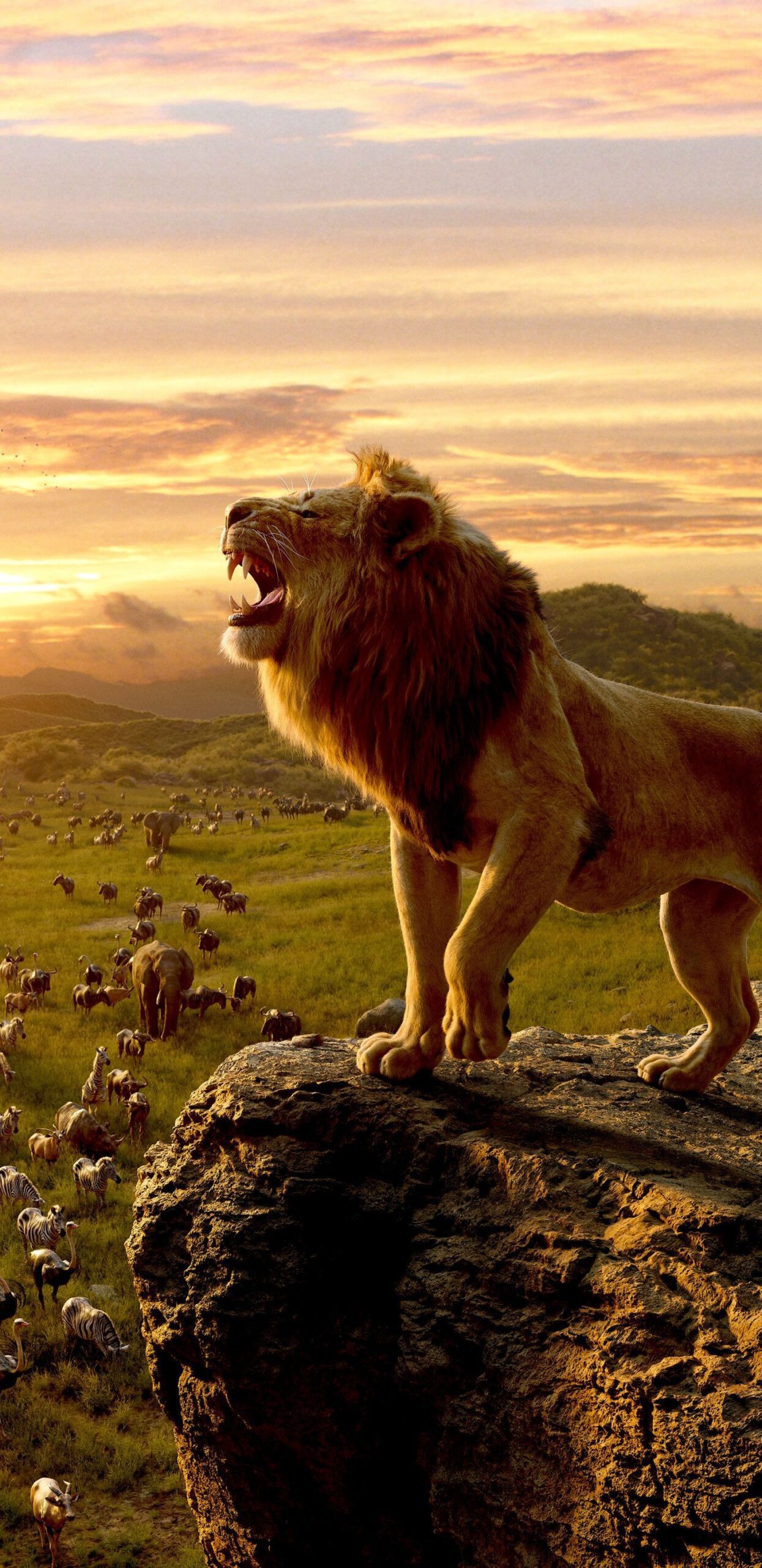 1440x2960 The Lion King, king of jungle, movie 2019, Simba wallpaper