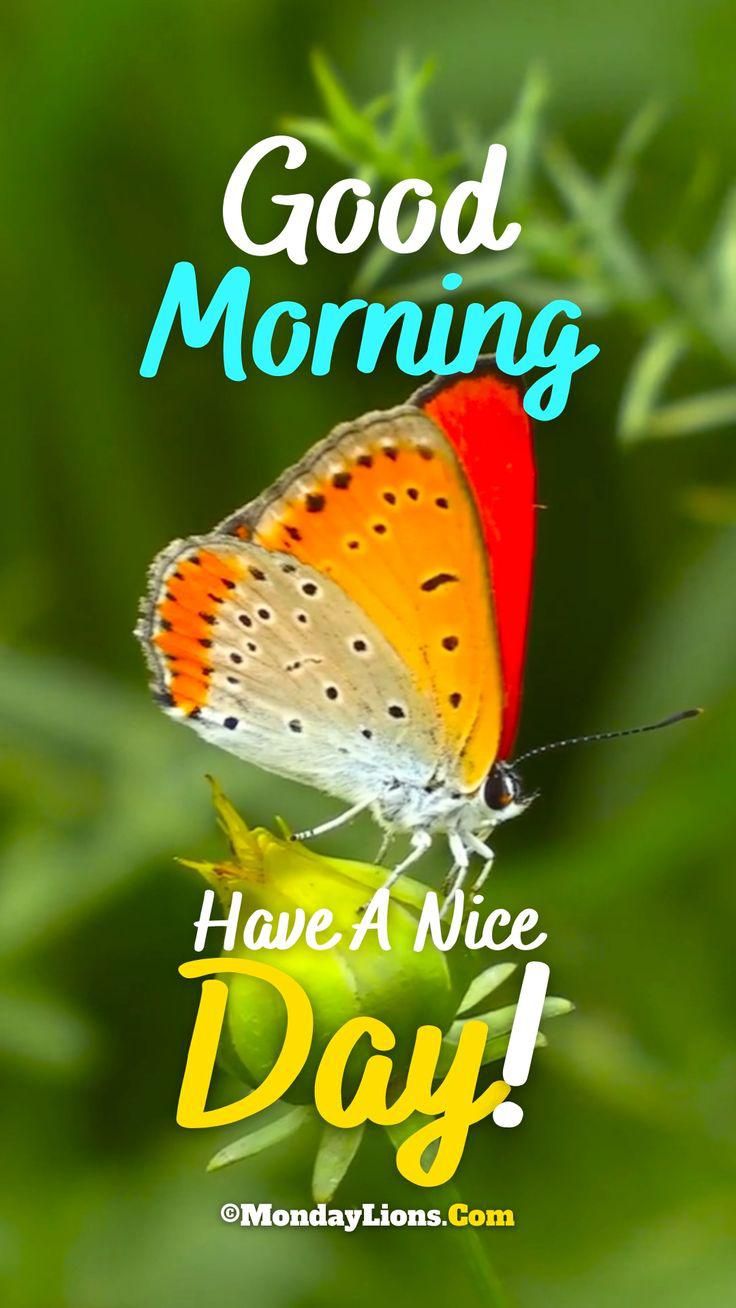 150+ Beautiful Good Morning Images, Wishes & Quotes Visit now To Download!