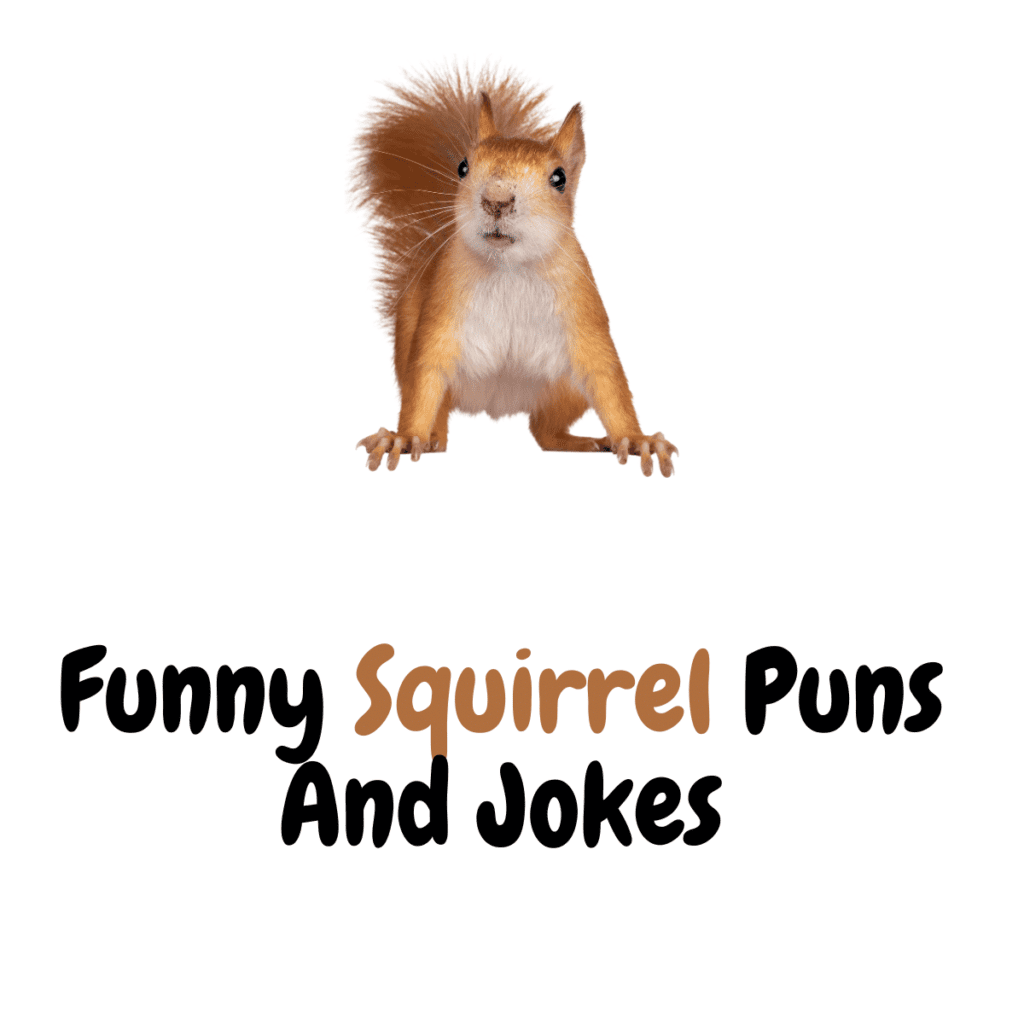 160+ Funny Squirrel Puns And Jokes For Hilarious Moments!
