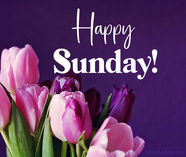 100+ Happy Sunday Wishes, Messages and Quotes | WishesMsg