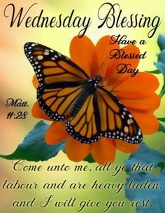 180 Beautiful Wednesday Blessings Quotes, Wishes, Images, Pictures