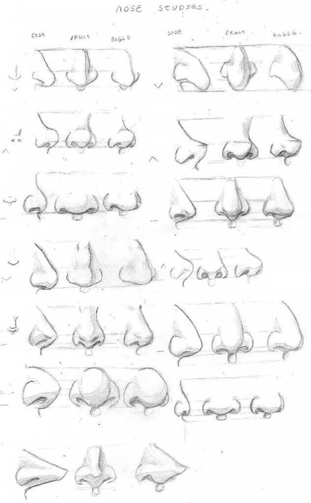 19 Human Anatomy Drawing Ideas And Pose References Beautiful
