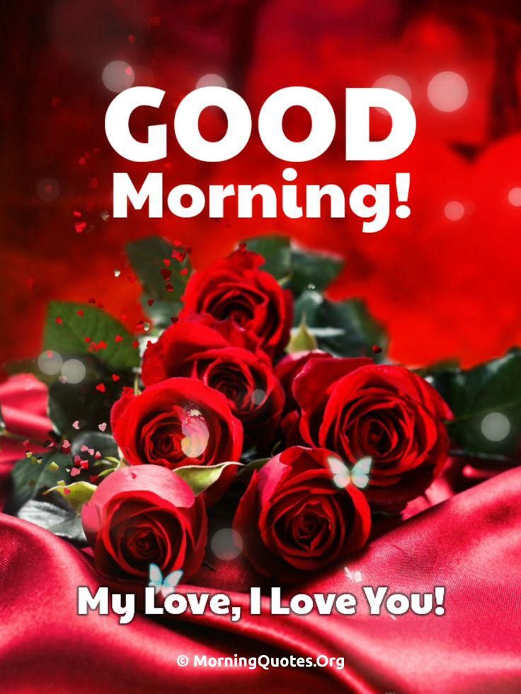 20 Most Romantic Good Morning Rose Images and Quotes for Love Visit Now!