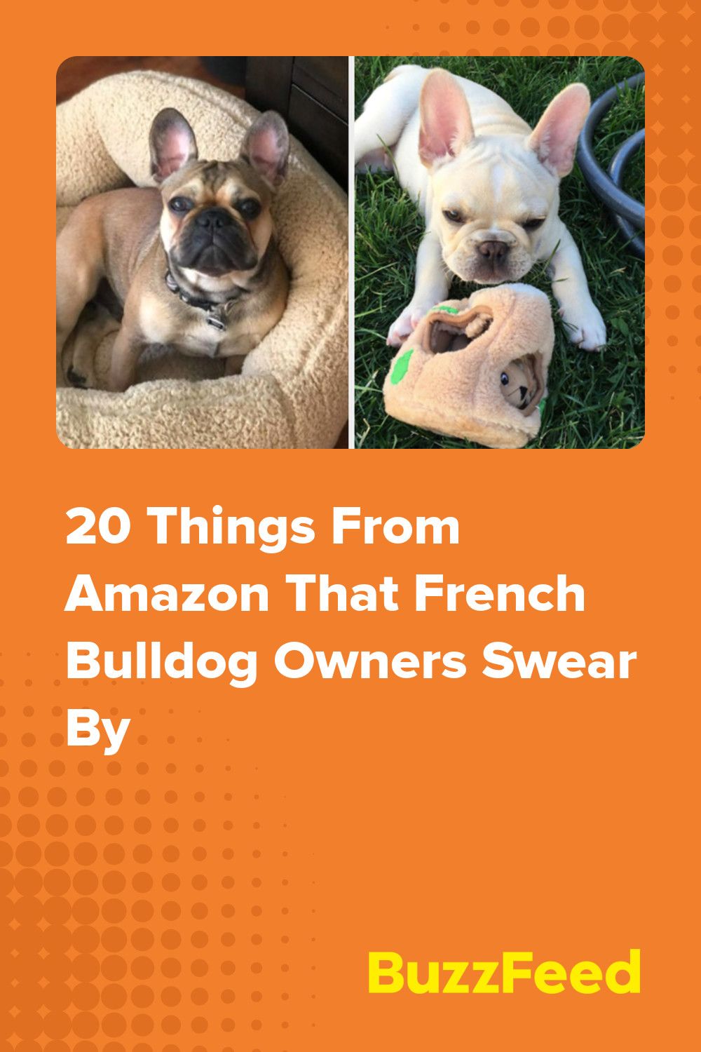 20 Things From Amazon That French Bulldog Owners Swear By