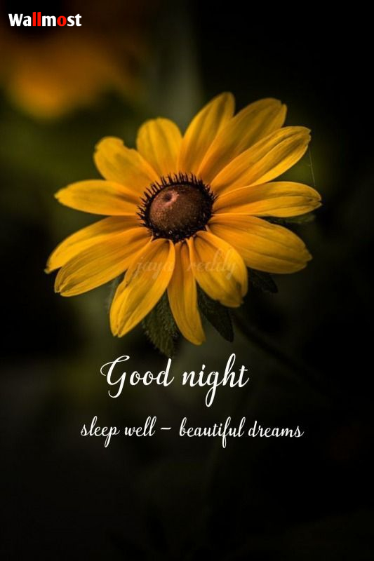 2021 Good Night Images Simple 10