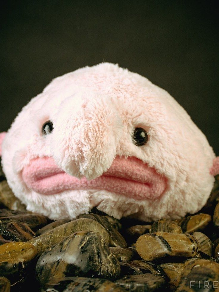 24 Stuffed Toys To Buy The Weirdest Person You Know