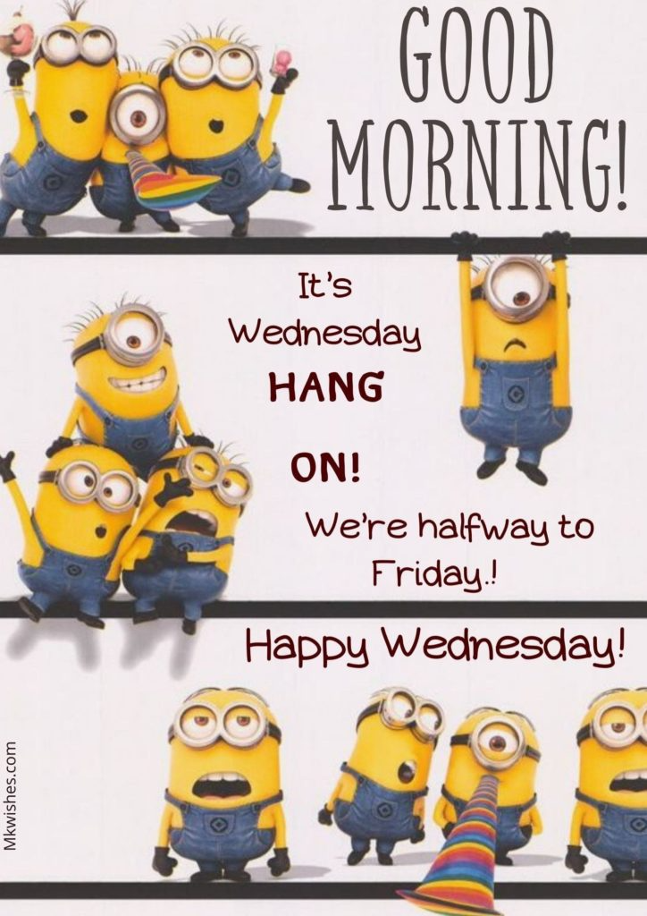 30+ Cute Good Morning Wednesday Images Hd Downloads - Mk Wishes