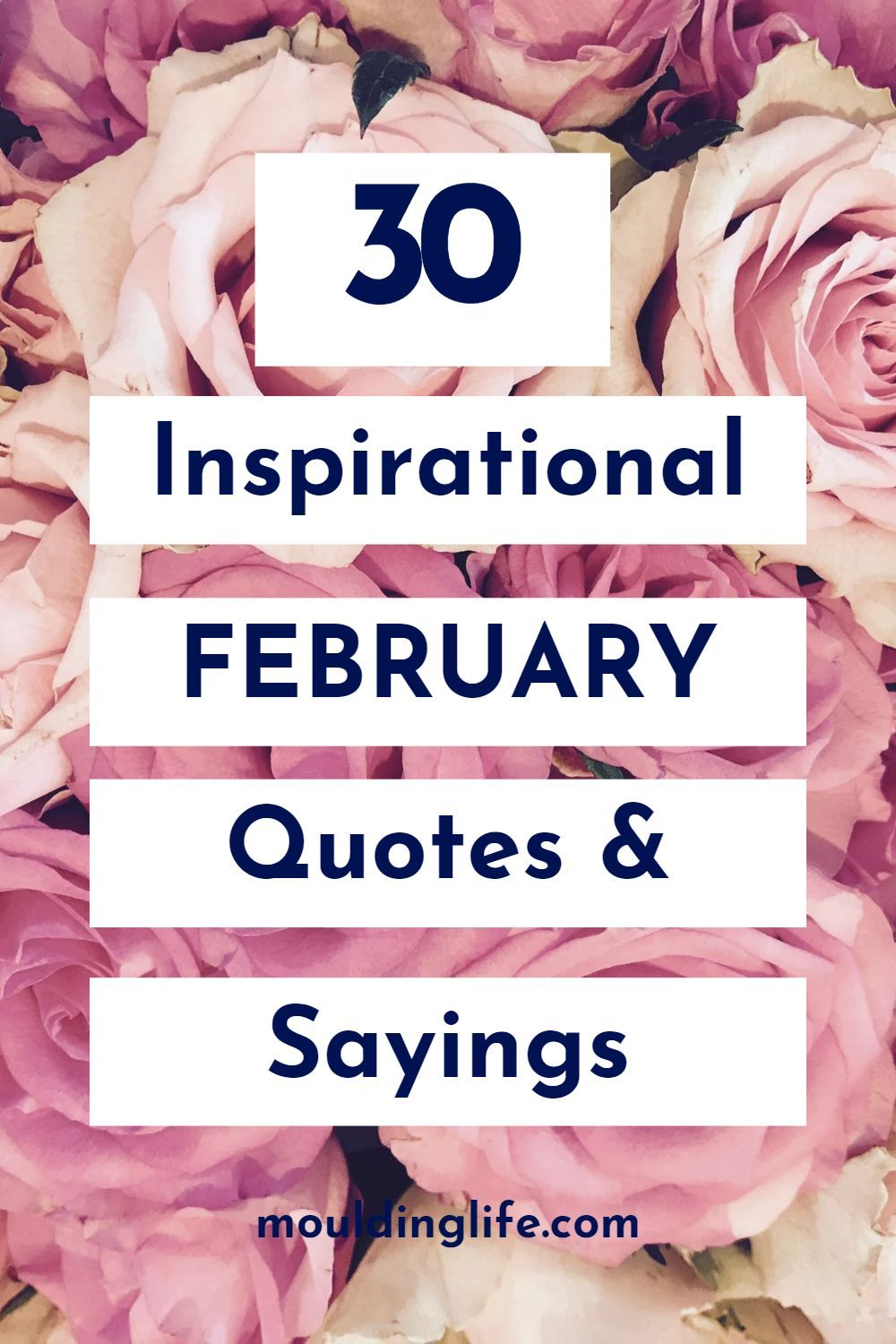 30 Hello February Quotes and Sayings