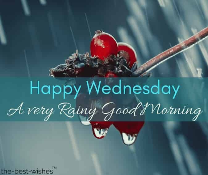 31 Perfect Good Morning Wishes For A Rainy Day [ Best Images ] Images