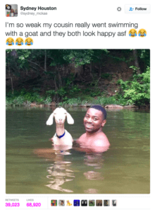 32 Of The Most Wholesome Things That Have Ever Happened HD Wallpaper