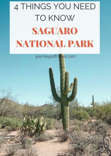 4 Things You Need To Know About Saguaro National Park