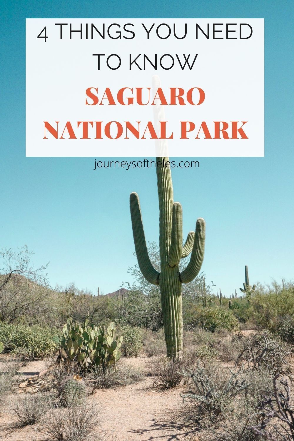 4 things you need to know about Saguaro National Park