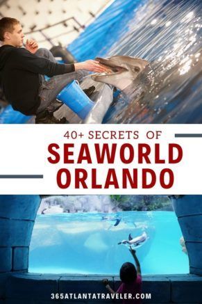 40+ Secrets of SeaWorld Orlando