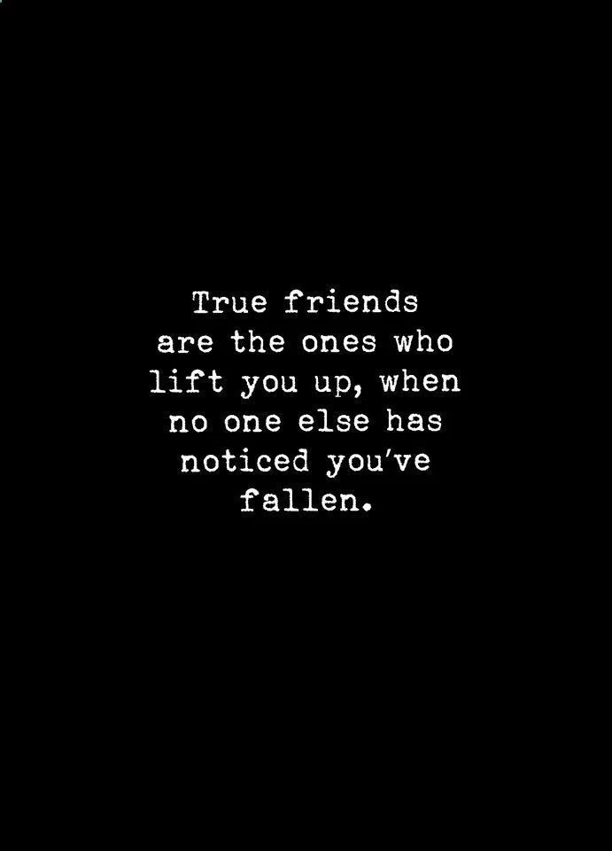46 Friendship Quotes To Share With Your Best Friend Images