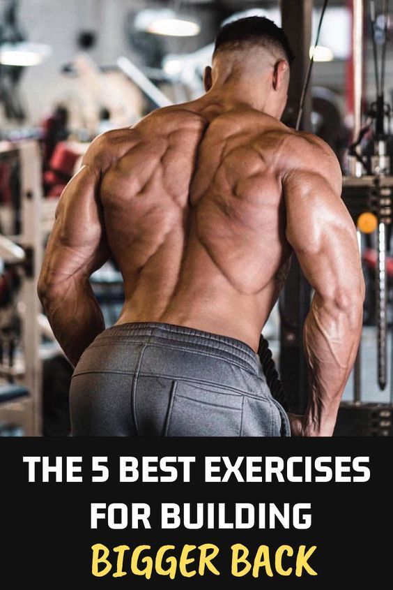 5 Best Back Workout Lats Workout Your Gym