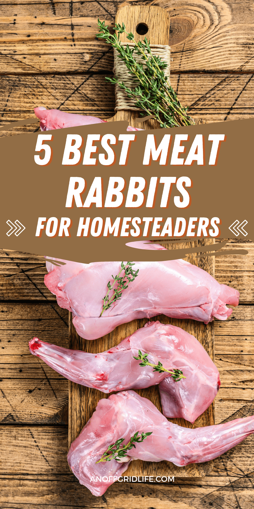 5 Best Meat Rabbits for Homesteaders