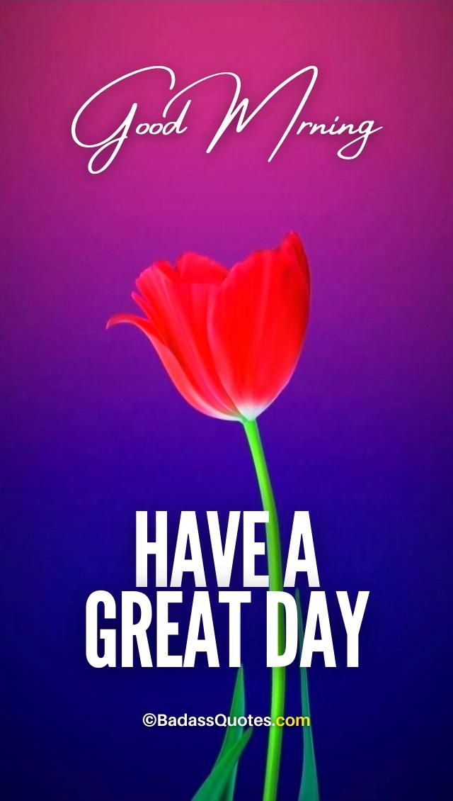 50+ Beautiful Good Morning Videos, Images &Amp; Quotes For A Great Day Download Now!