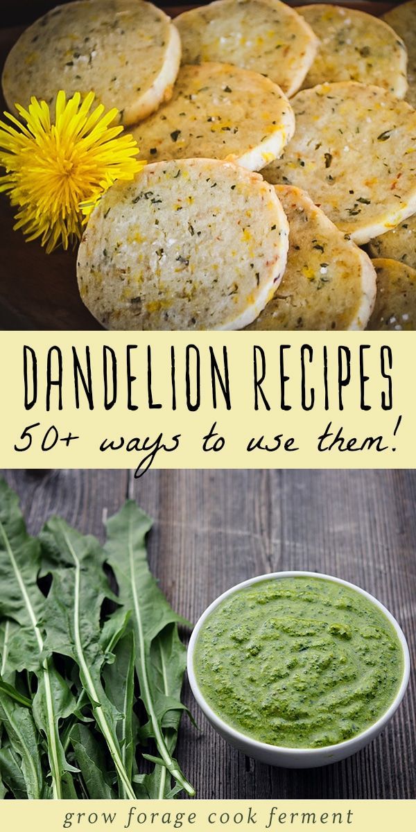 50+ Dandelion Recipes: Dandelion Greens & Edible Flower Recipes