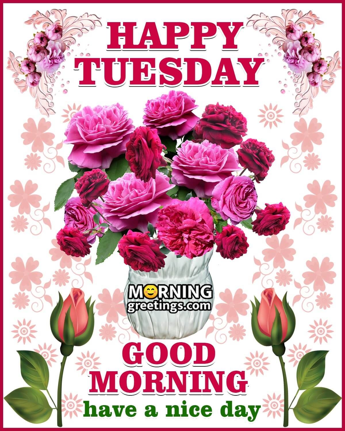 50 Good Morning Happy Tuesday Images - Morning Greetings – Morning Quotes And Wi