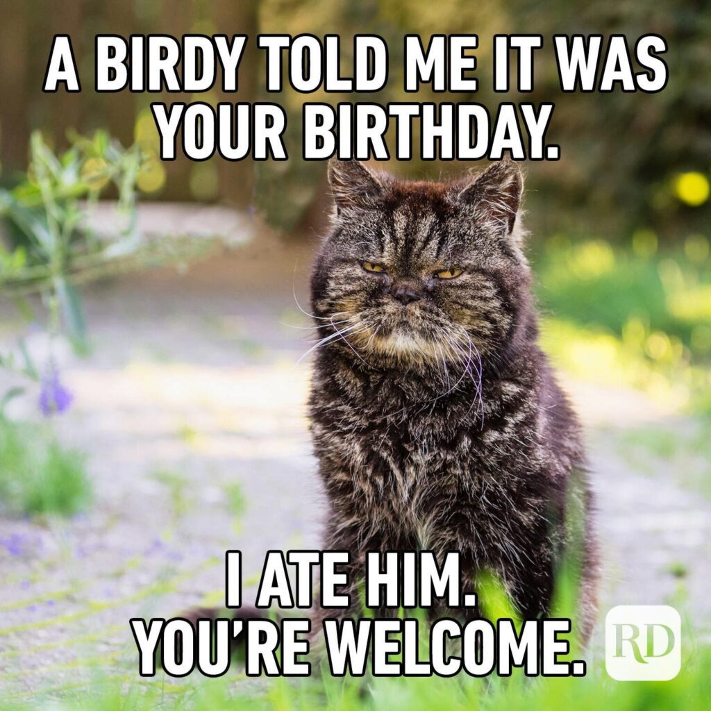 52 Of The Funniest Happy Birthday Memes
