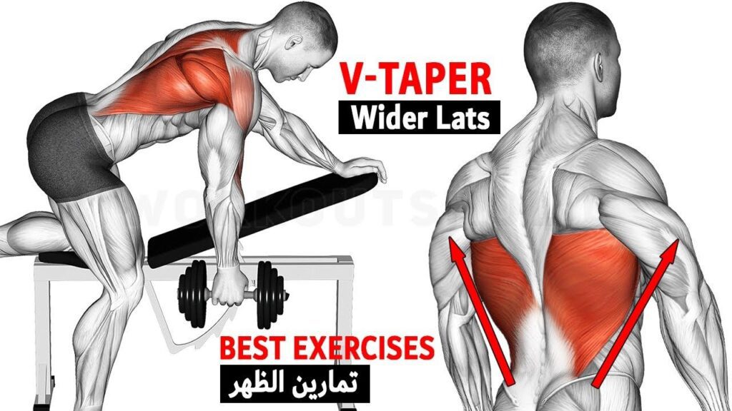 6 Best Exercise To Lower Lats Workout (V-Taper) - Gym Workout Motivation