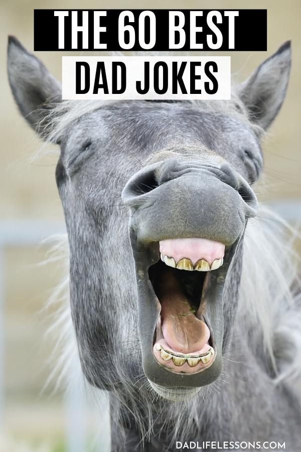 60 Best Dad Jokes Images