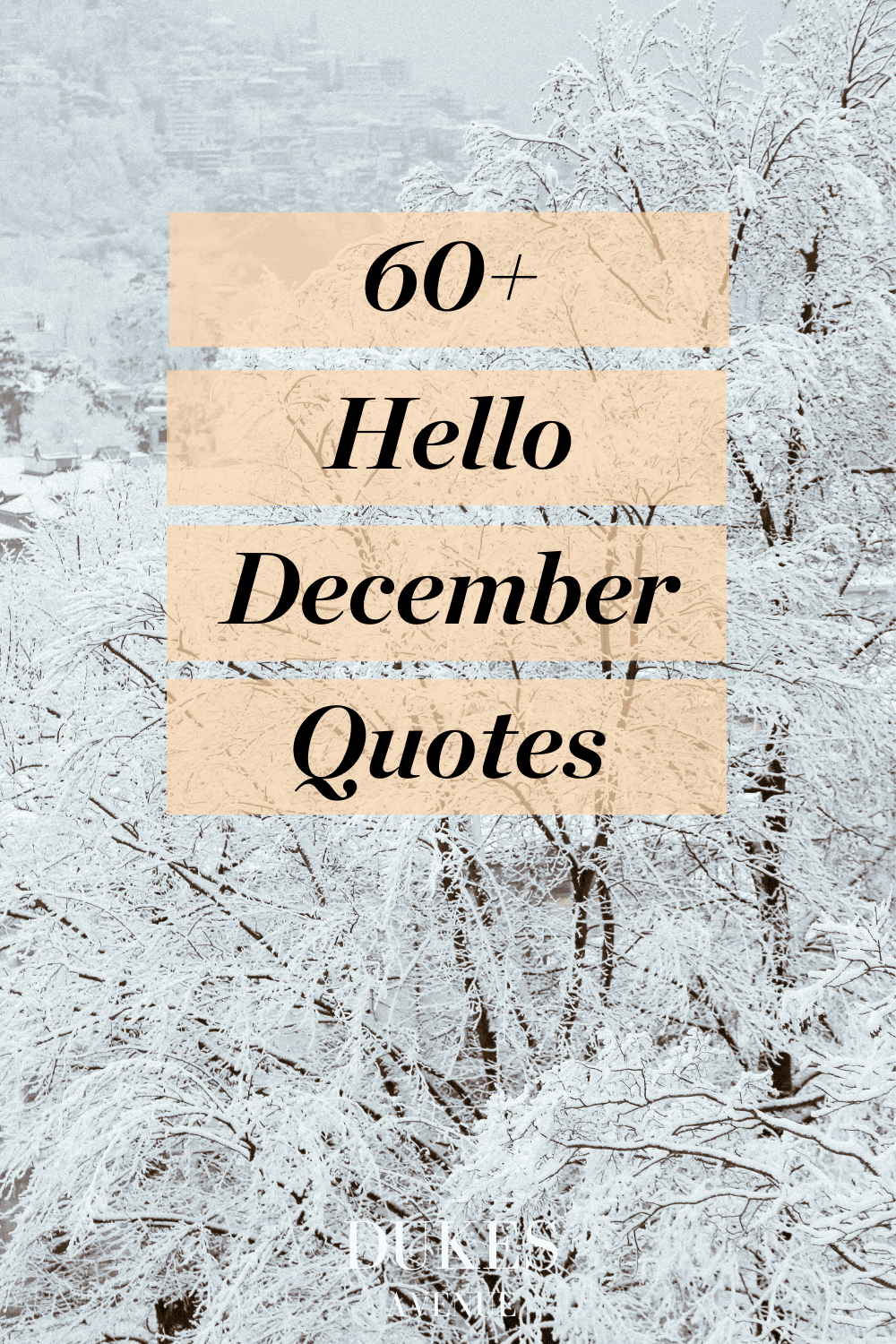 60+ Hello December Quotes | The Festive Season