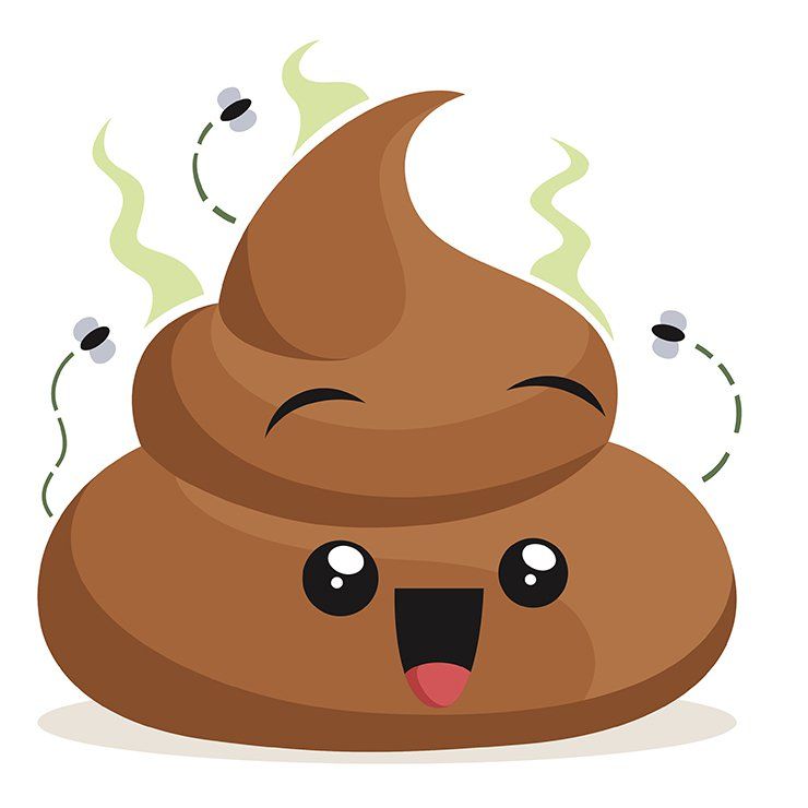 7 Poop Questions You'Ve Been Too Embarrassed To Ask, Answered