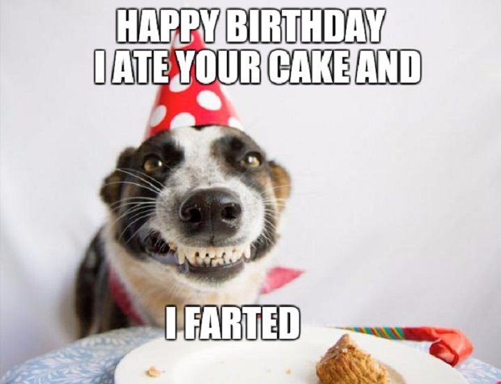 70+ Funny Birthday Wishes For Best Friend Male - Make A Funny Moment