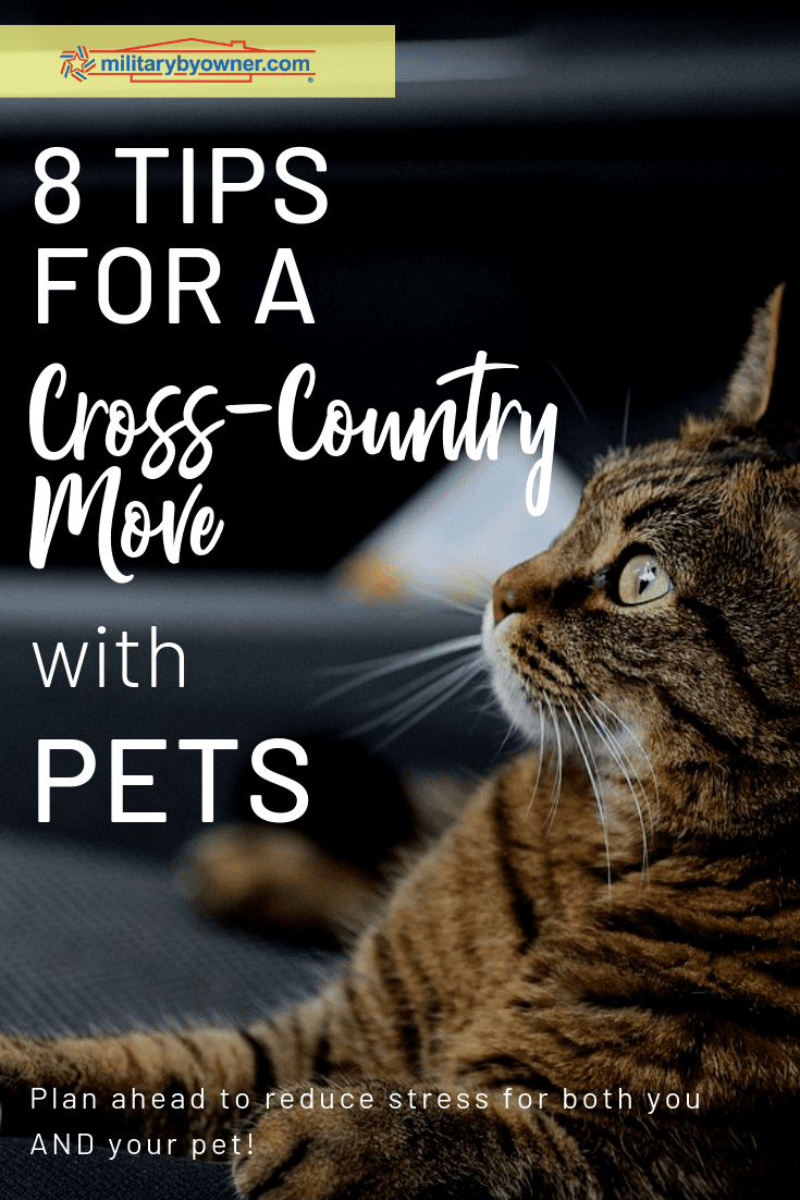 8 Tips for a Cross-Country Move with Pets