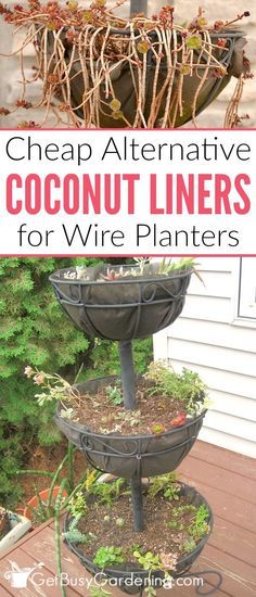A Cheap Alternative To Coconut Liners For Hanging Baskets