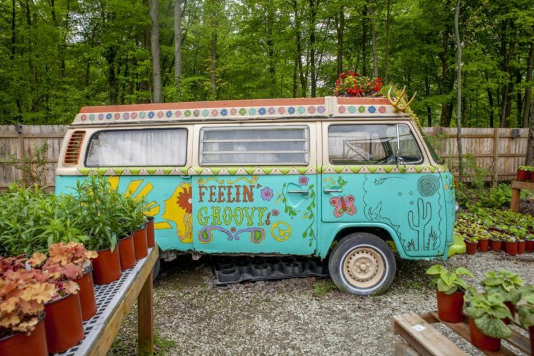 A Visit To Groovy Plants Ranch Is The Perfect Way To Nurture Your Green Thumb