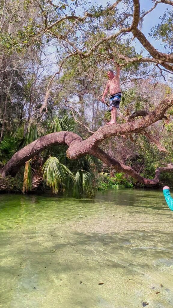 A World Of Endless Adventure  #Kingslandingfl #Floridasprings #Thespringstate #
