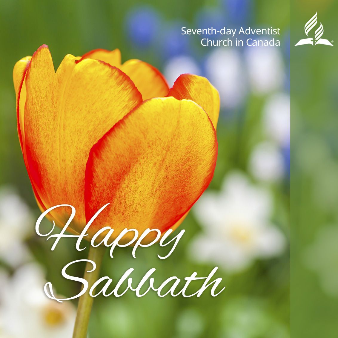 Adventist Messenger's tweet - "Happy Sabbath from Canadian Adventist Messenger! 