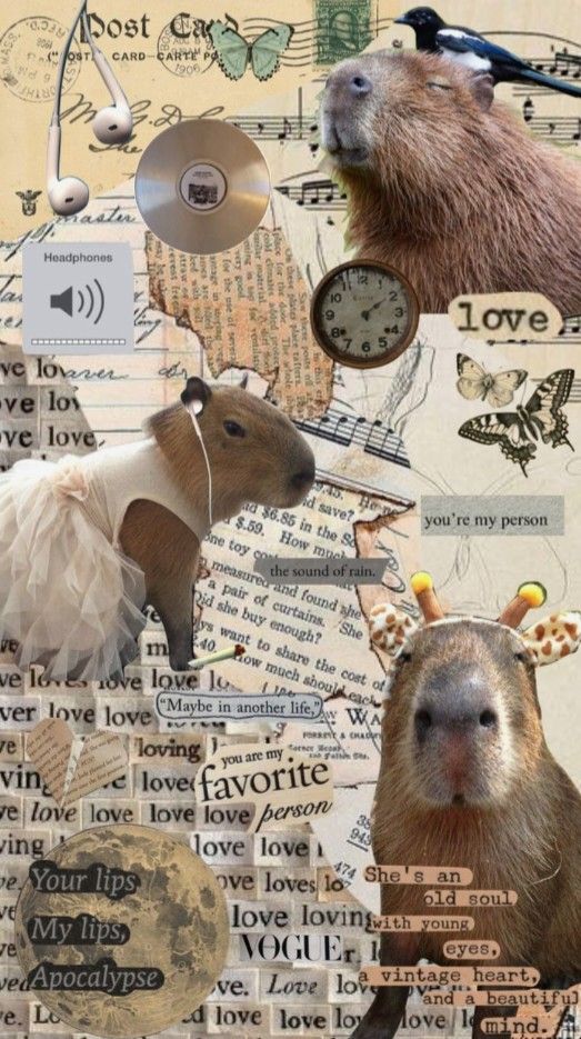 Aesthetic Capybara 🦫🤎 Images