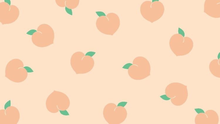 Aesthetic Wallpaper~Peach~