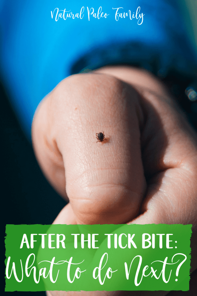 After The Tick Bite: What Are Your Next Steps?