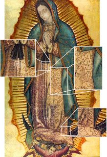 All the Amazing Things about Our Lady of Guadalupe: The Essential Guide to Our L