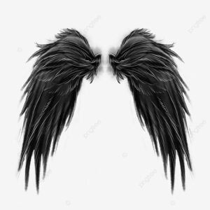 Angel Devil Wing Hd Transparent, Black Devil Devil Angel Feathers Wings, Feather HD Wallpaper