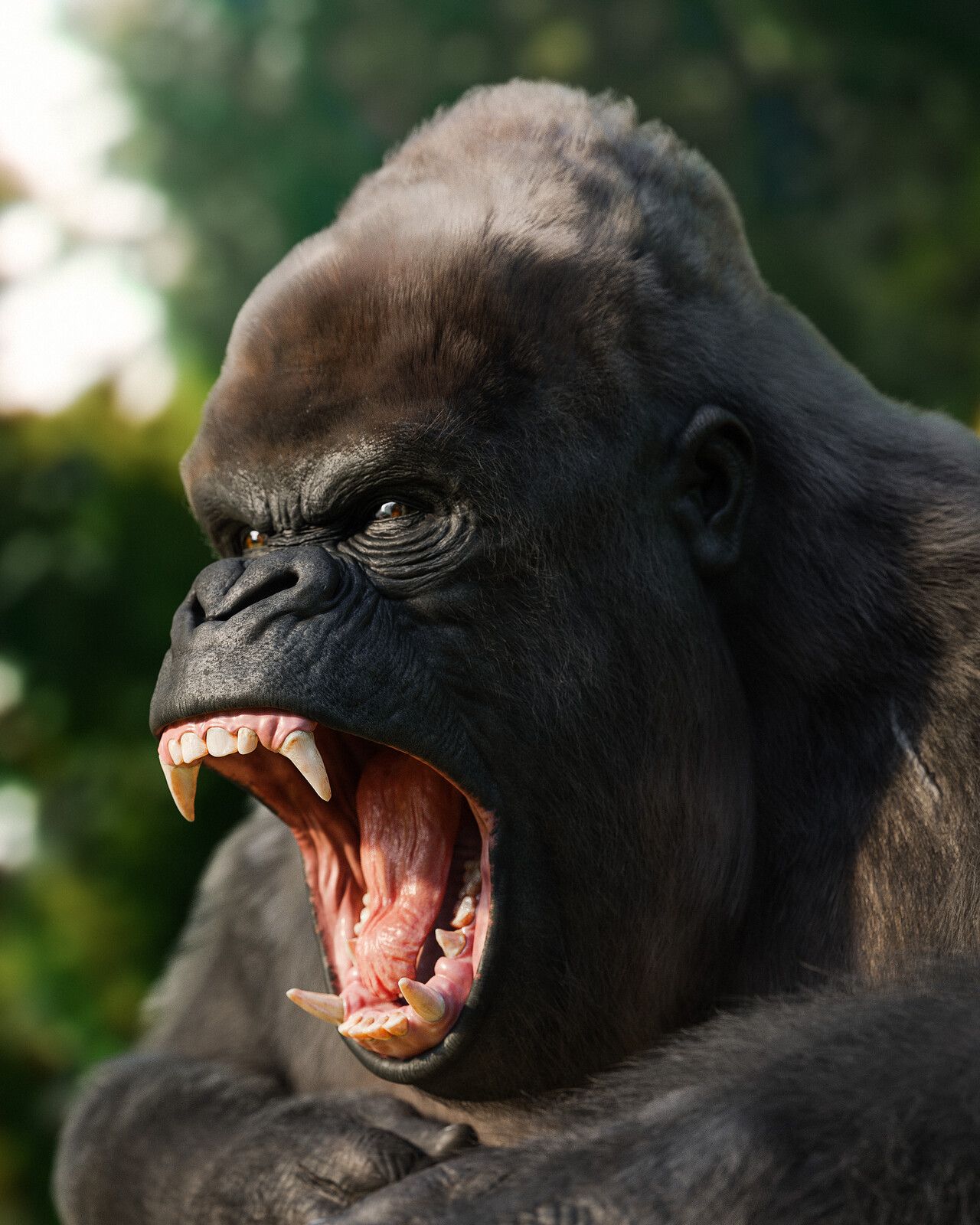 Angry Gorilla, Manuel D'Onofrio