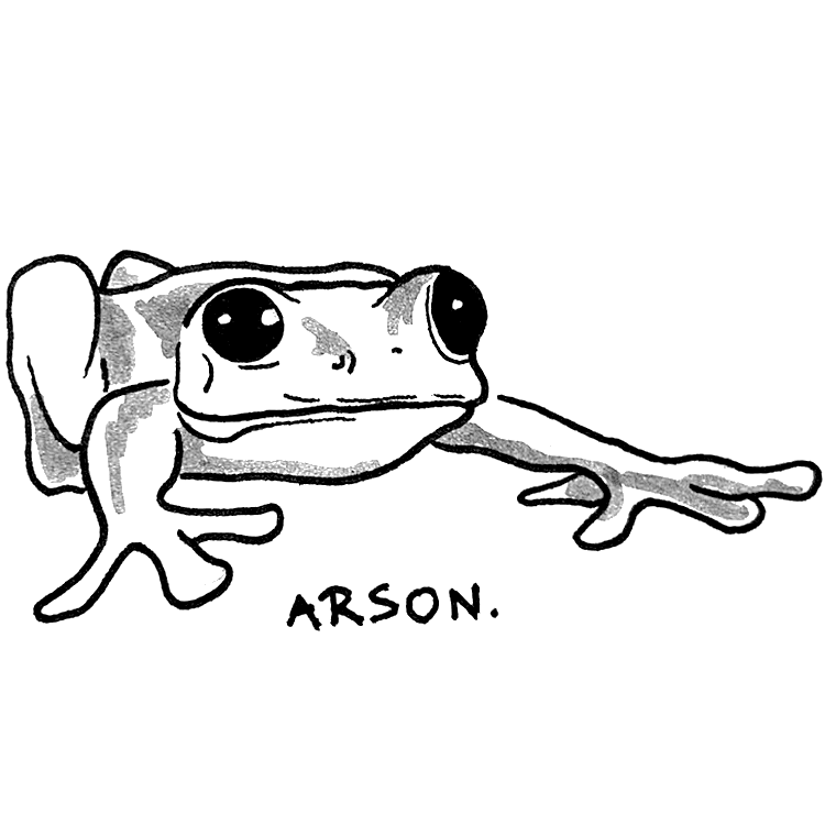 Arson Frog