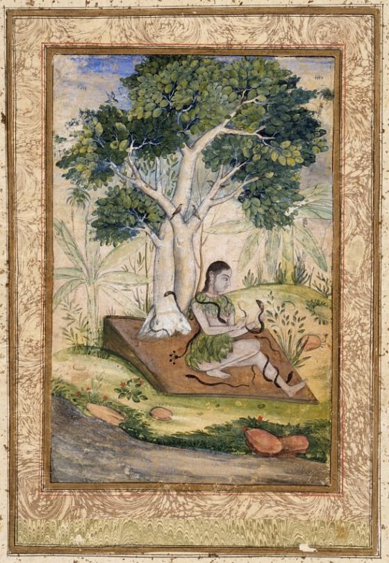 Asavari Ragini Fourth Wife Of Shri Raga Folio From A